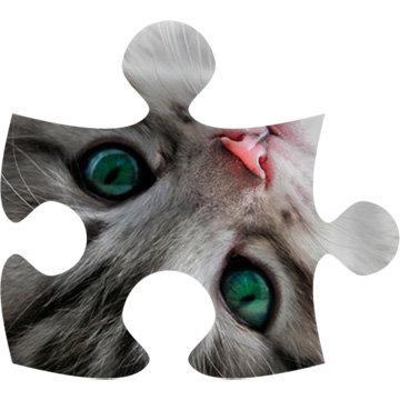 Cats puzzle (jigsaw) Cats puzzle (jigsaw)